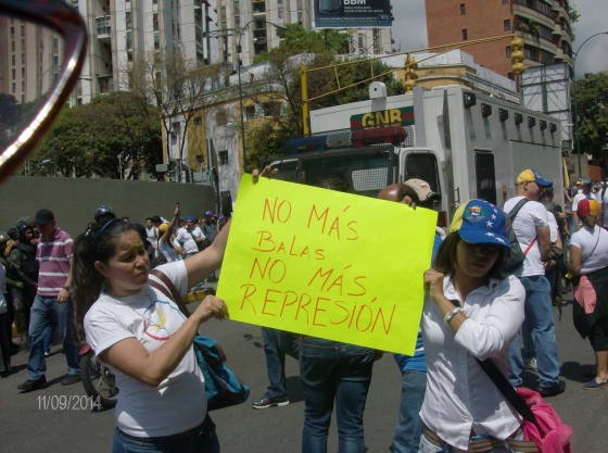 12F-MarchaPlazaVenezuela-2014 099