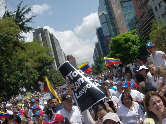 12F-MarchaPlazaVenezuela-2014 101